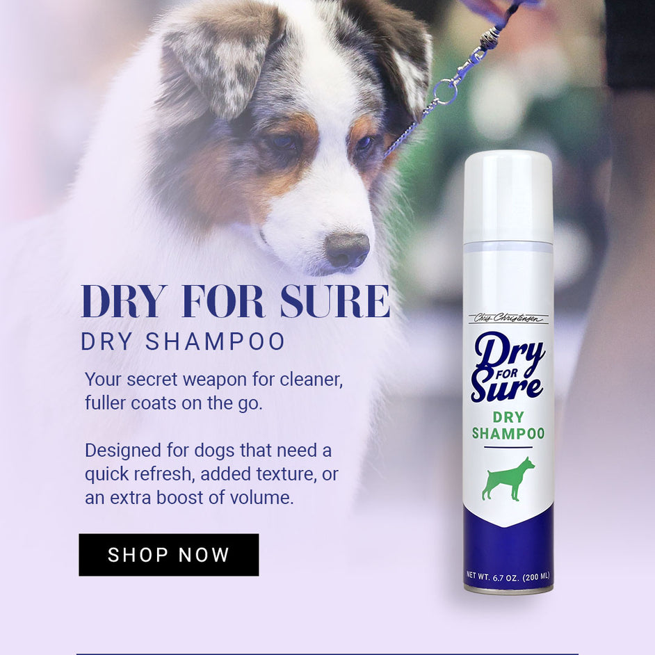 Chris Christensen Dry For Sure Dry Shampoo For Dogs, 6.7oz