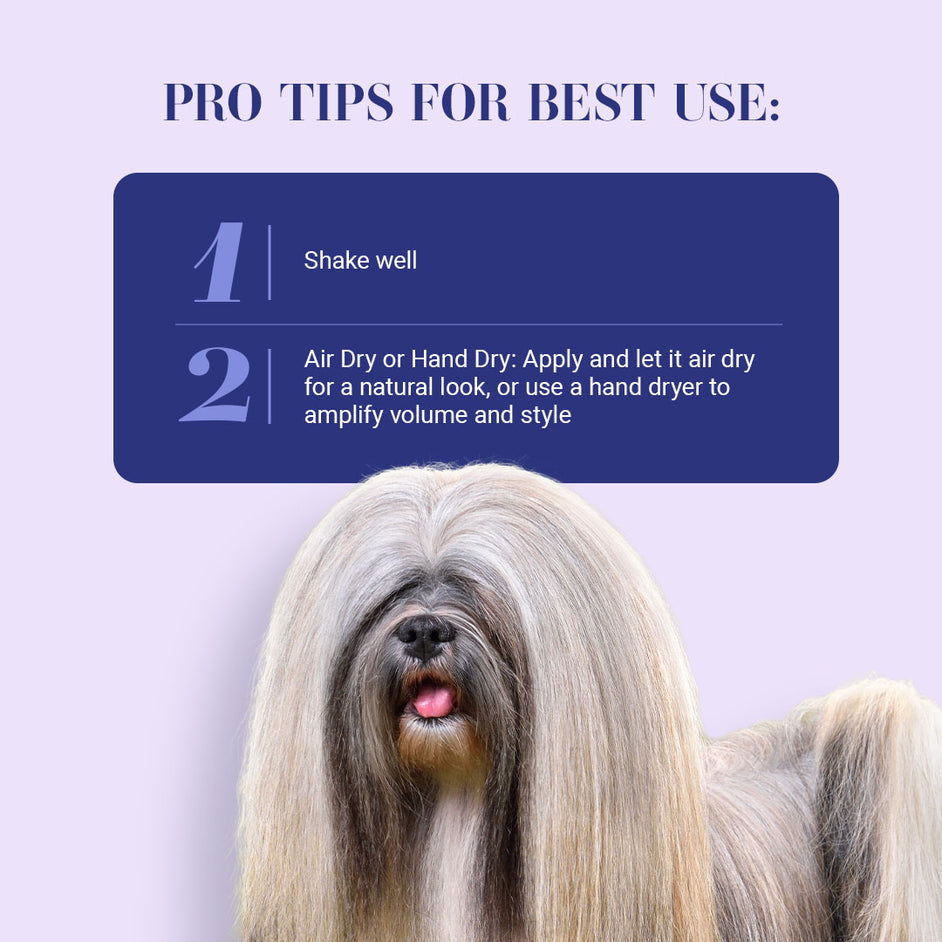 Chris Christensen Dry For Sure Dry Mousse For Dogs, 10oz