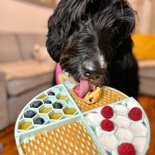 Bark Bistro Buddy Butter Peanut Butter Treat for Dogs, Bangin Bacon