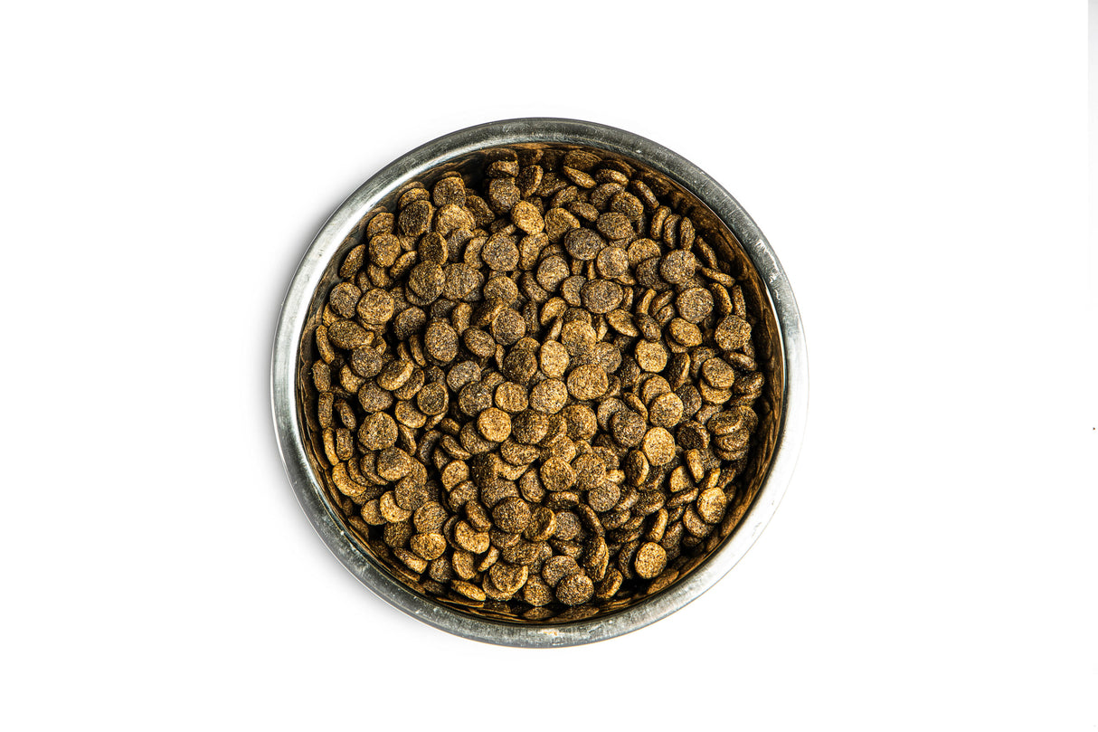 Verus Canine Advanced Opticoat Menhaden Fish Meal & Potato Formula Dry Dog Food