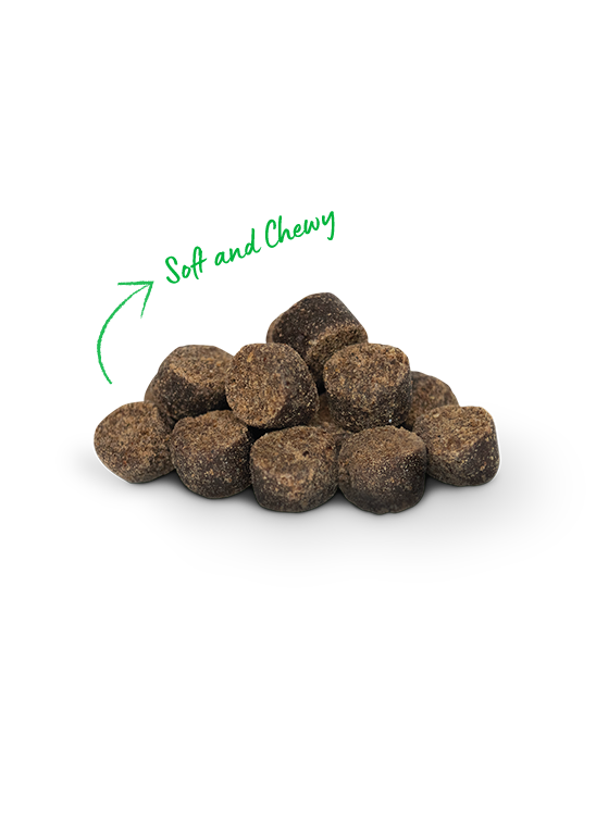 Open Farm Be Good Bites Turkey Recipe Soft & Chewy Dog Treats, 6oz