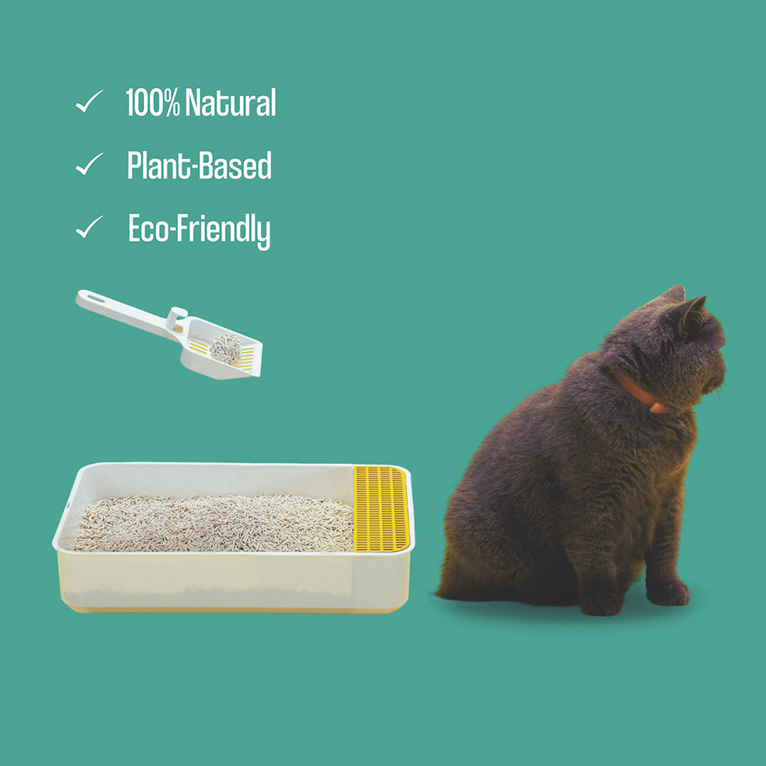Dofu Cat Cereal Tofu Clumping Cat Litter, 5.5lb