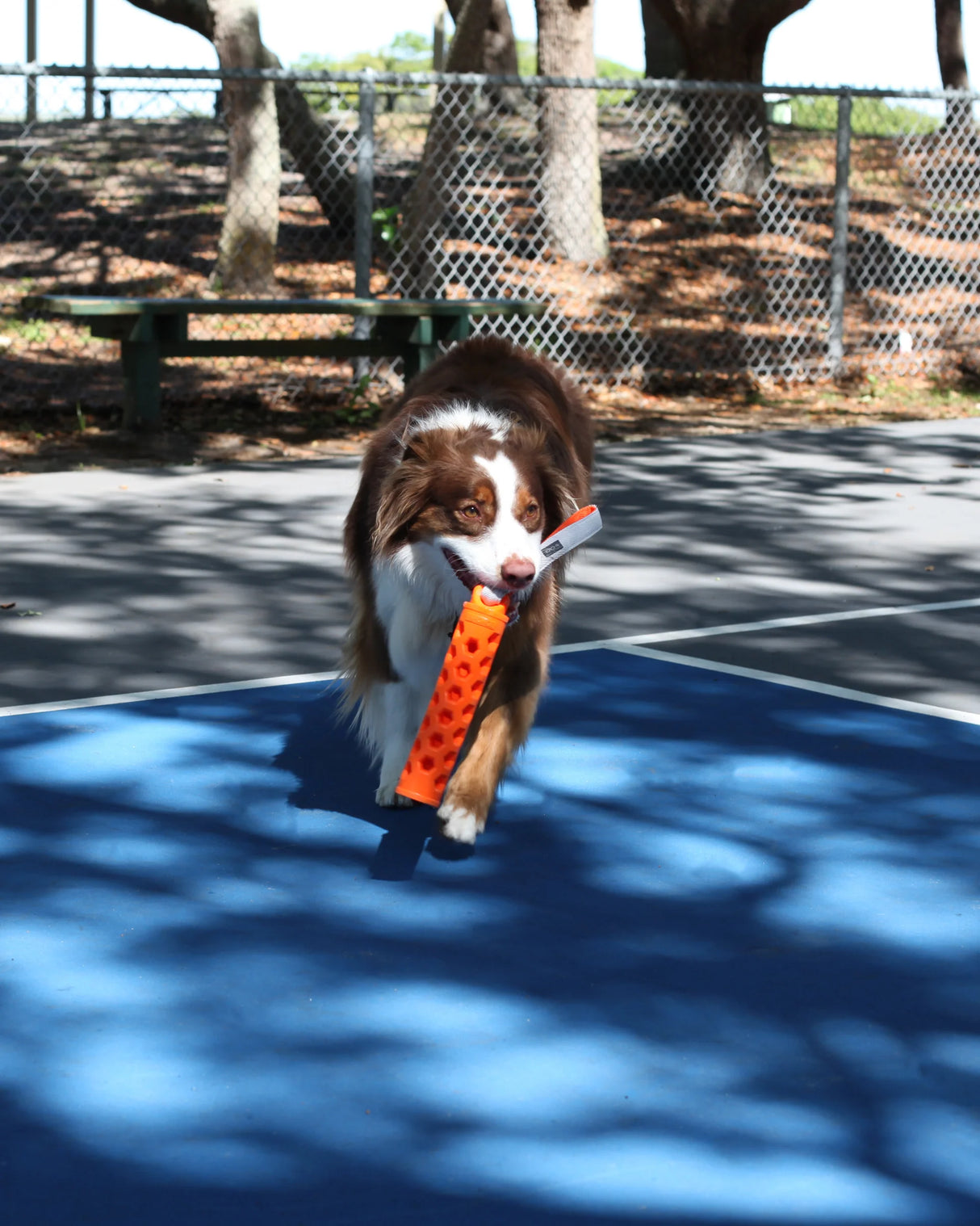 N GAGE Active Bumper Reg Interactive Rubber Dog Toy, Red