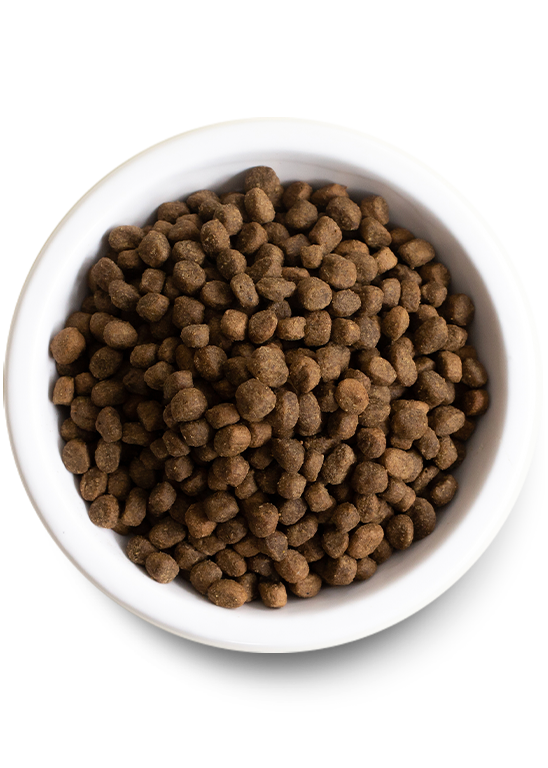 Open Farm Pasture-Raised Lamb Grain Free Dry Dog Food