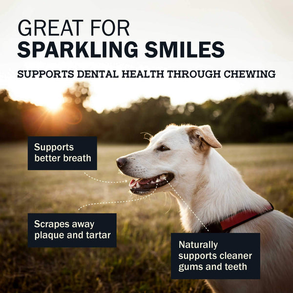 Redbarn Dur-A-Bulls Hickory BBQ Dental Chew For Dogs, Bone