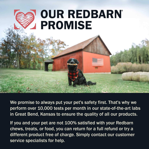 Redbarn Dur-A-Bulls Hickory BBQ Dental Chew For Dogs, Bone