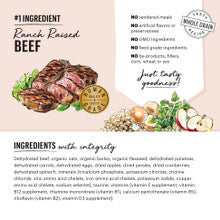 The Honest Kitchen Beef Recipe Dehydrated Dog Food 1.5 oz Single Serve Pack x 10