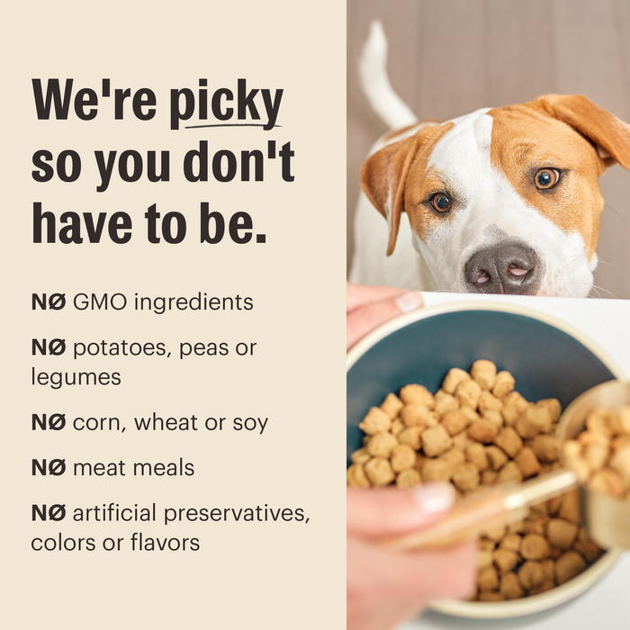 The Honest Kitchen Gourmet Whole Food Clusters Small Breed Grain Free Beef & Superfoods Recipe Dry Dog Food