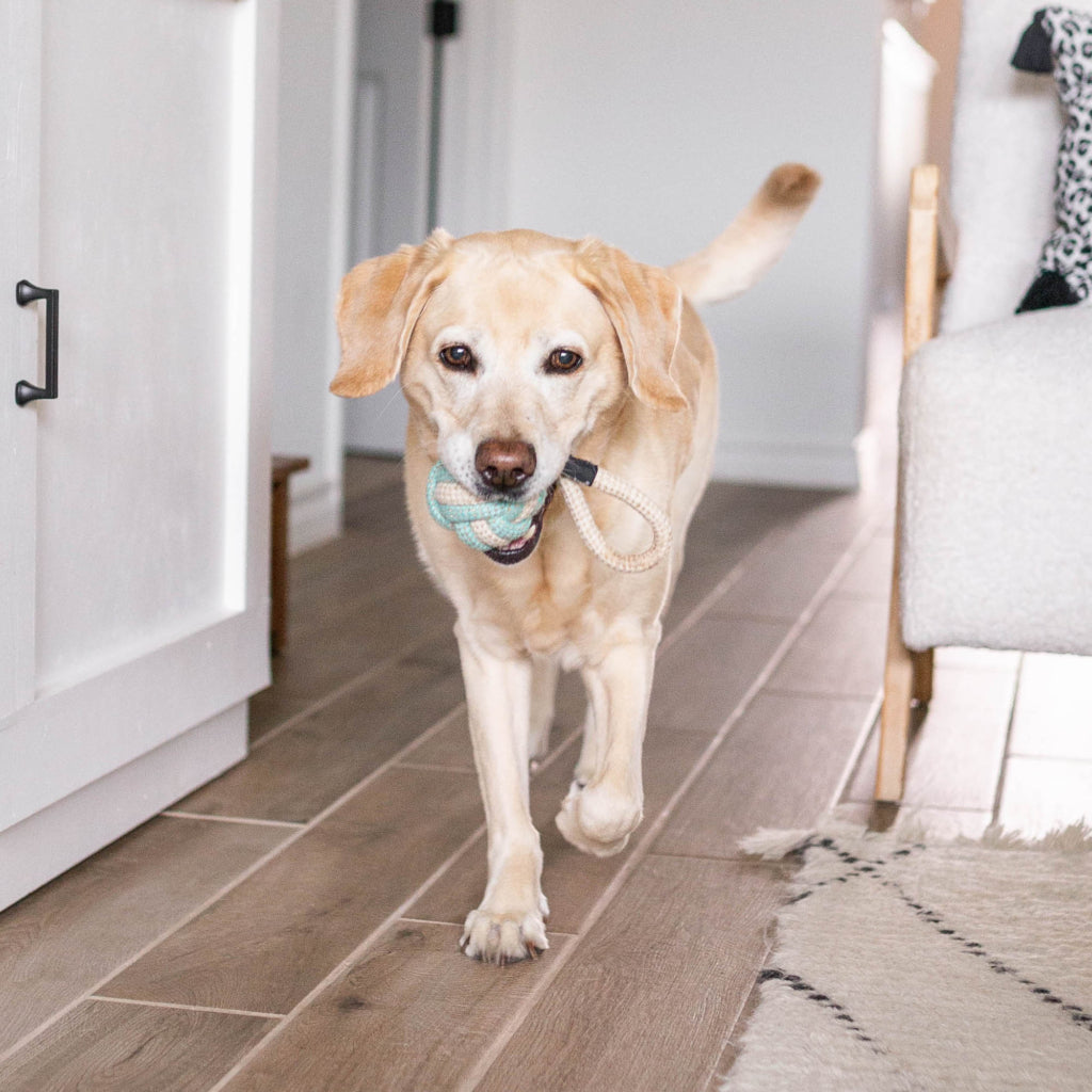 ZippyPaws ecoZippy Cotton & Jute Ball Dog Toy