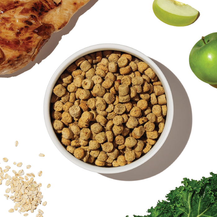 The Honest Kitchen Gourmet Whole Food Clusters Small Breed Grain Free Beef & Superfoods Recipe Dry Dog Food