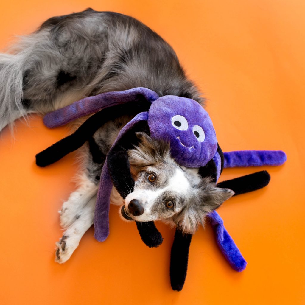 Zippy Paws Halloween 2026 Grunterz Plush Dog Toy, Purple Spider