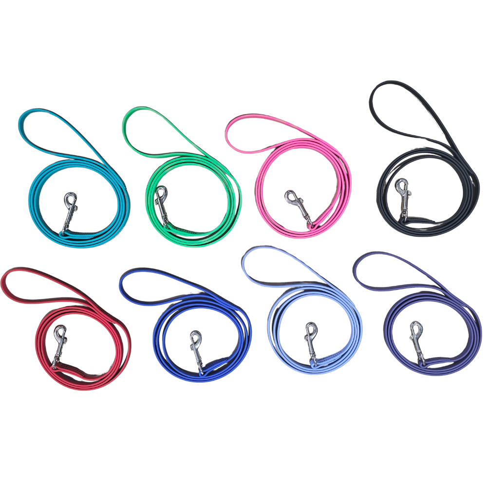 WDB Biothane Dog Leash with Snap, 1/2" x 6ft