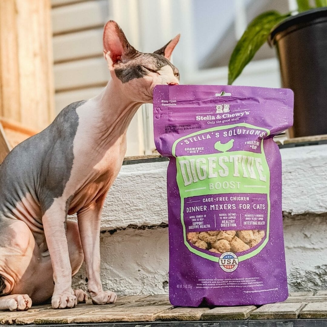 Stella & Chewy's Solutions Digestive Boost Chicken Morsels Freeze Dried Cat Food, 7.5oz