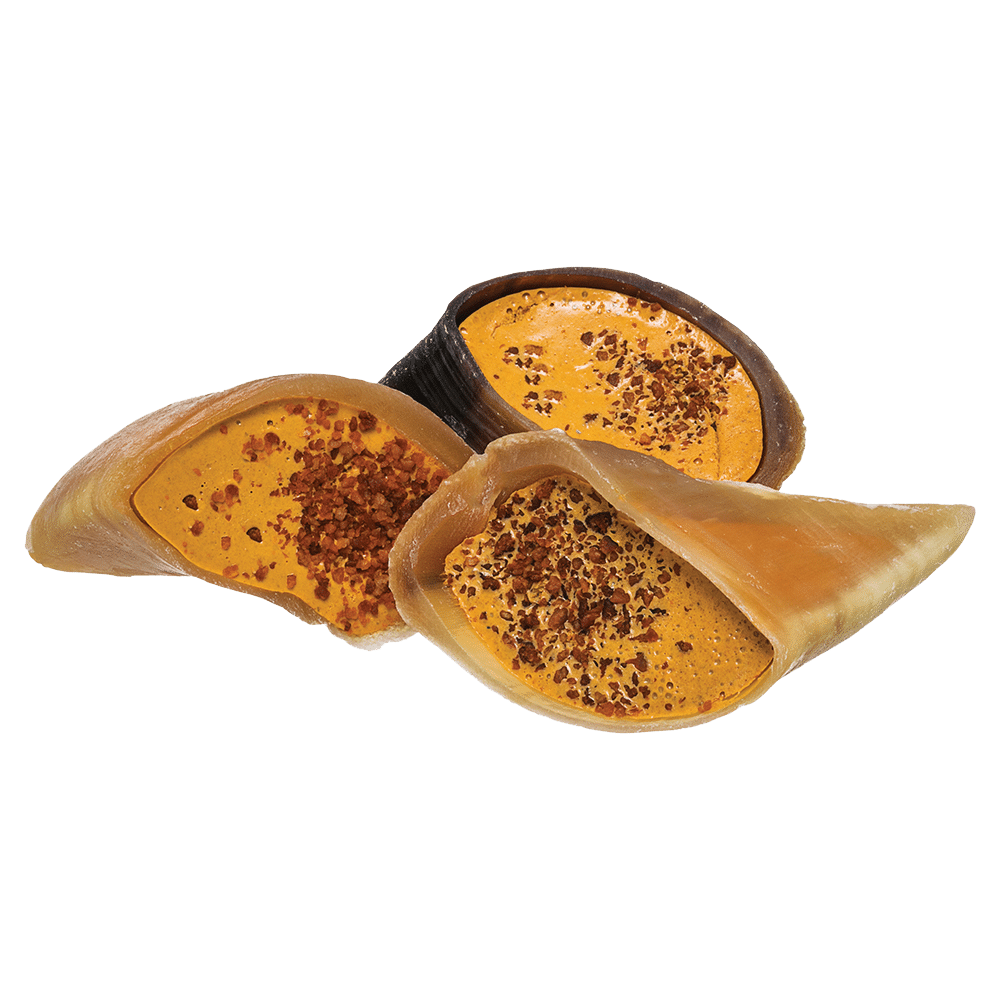 Redbarn Cheese N' Bacon Filled Hoof Chew For Dogs