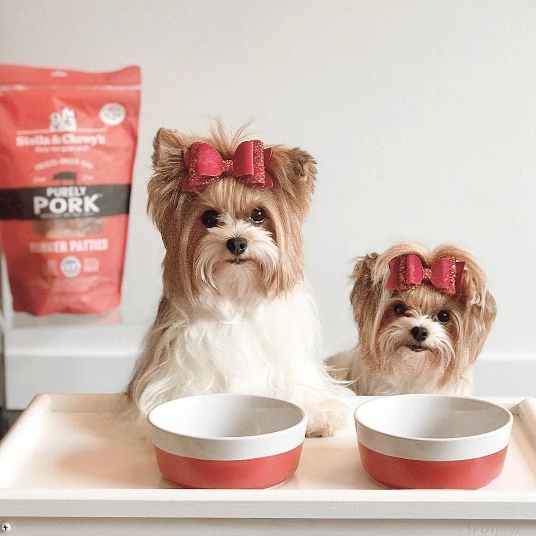 Stella & Chewy's Purely Pork Dinner Patties Freeze-Dried Dog Food
