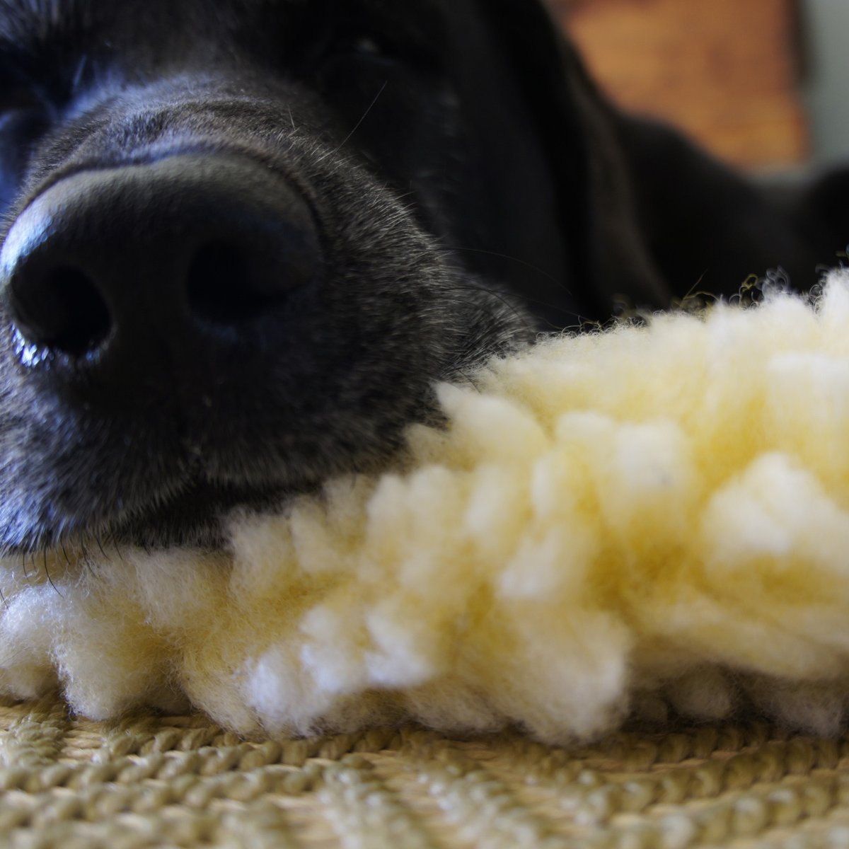 HuggleHounds HuggleFleece Mat Dog Bed, Natural