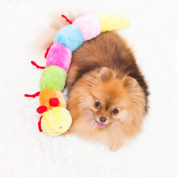 ZippyPaws Squeaky Caterpillar Plush Dog Toy