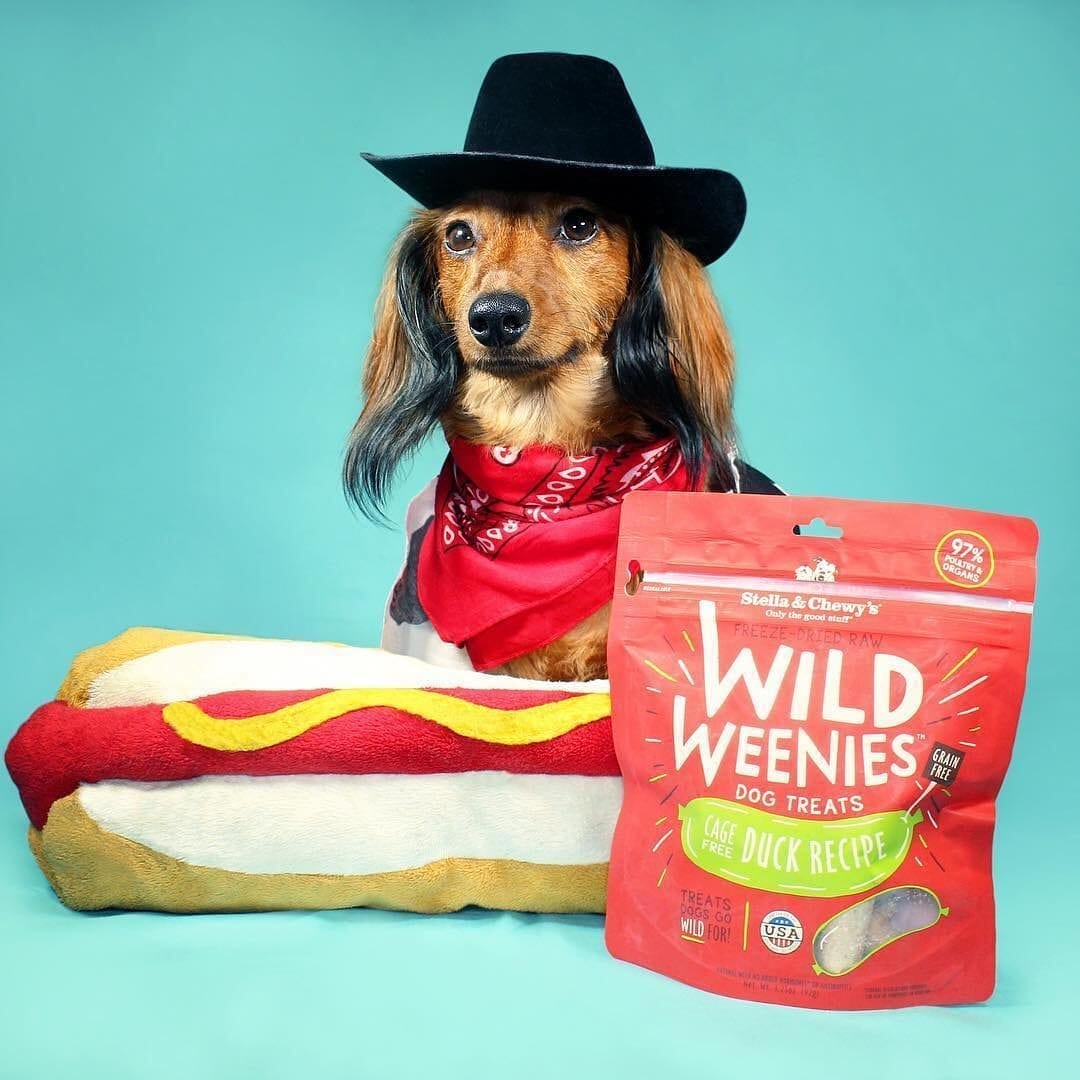 Stella & Chewy's Wild Weenies Duck Recipe Freeze Dried Dog Treats