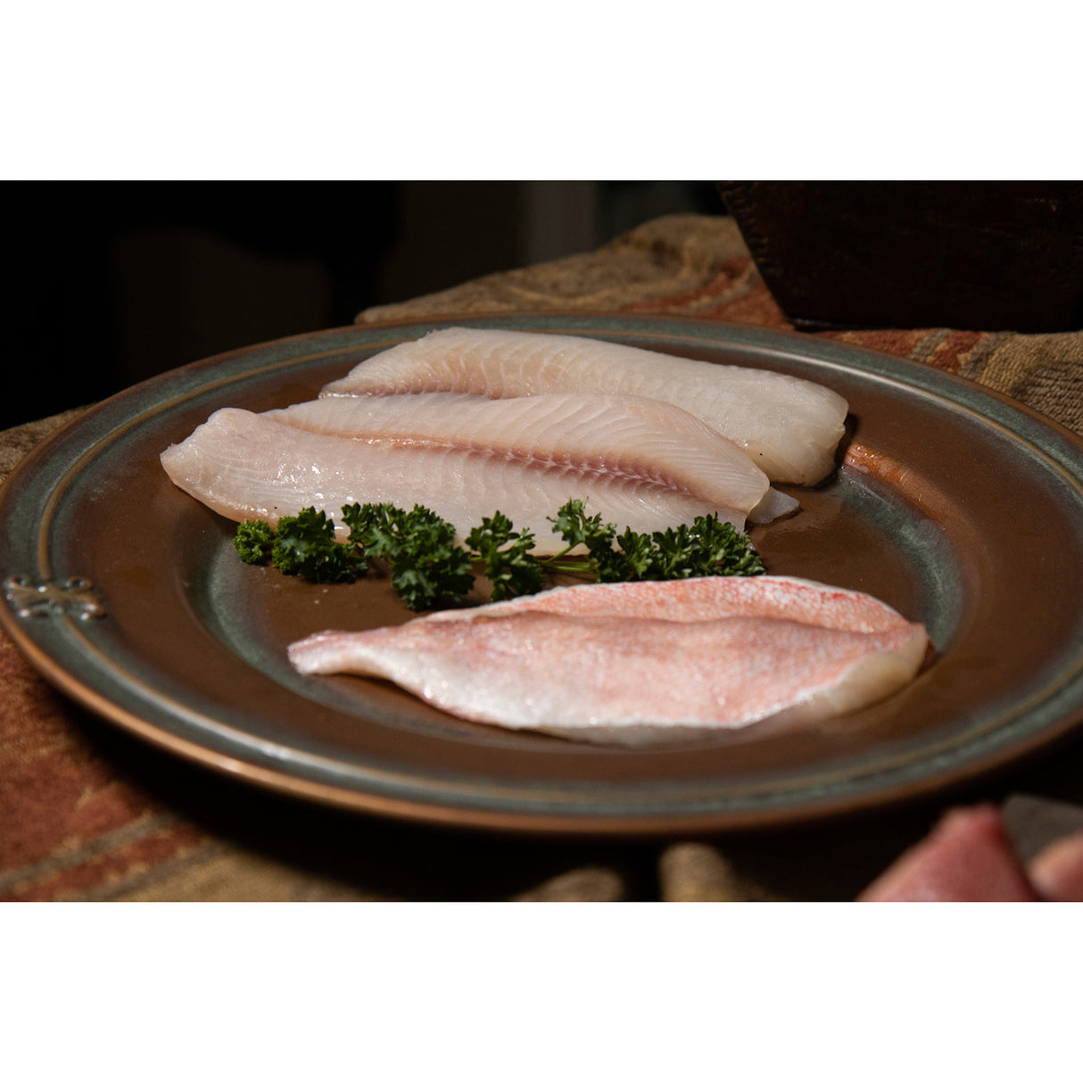 Regal Ocean Fish Recipe Adult Dry Dog Food
