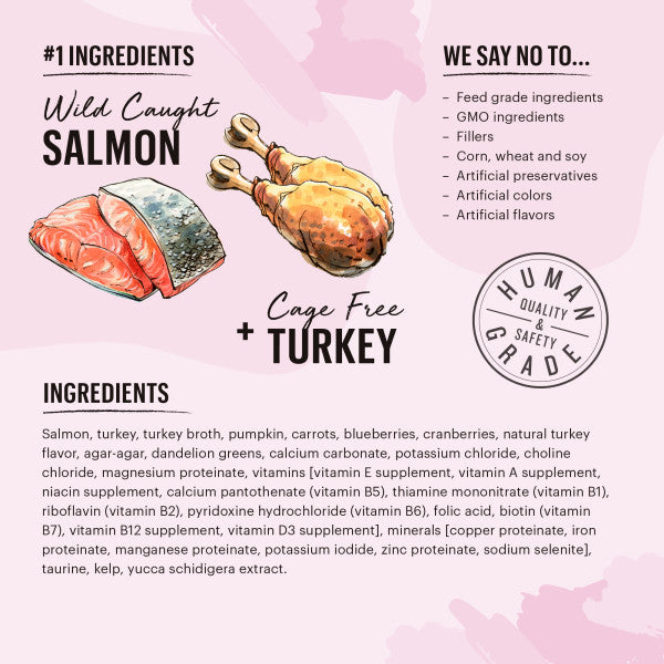 The Honest Kitchen Cate Salmon & Turkey Pate Wet Cat Food, 12/5.5oz