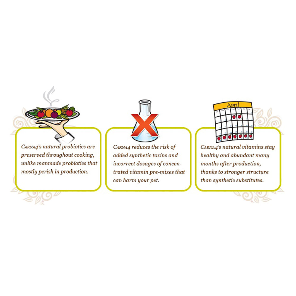 Carna4 All Life Stages Fish Formula Dry Cat Food