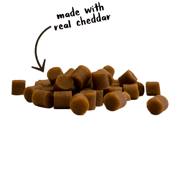 Cloud Star Soft & Chewy Tricky Trainers Cheddar Dog Treats
