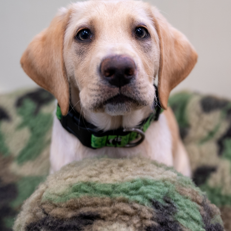 HuggleHounds HuggleCause Warrior Canine Connection Durable Squeaky Plush Dog Toy, HuggleFleece Camouflage