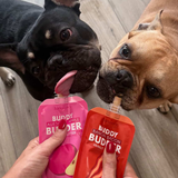 Bark Bistro Buddy Butter Peanut Butter Treat for Dogs, Superberry Snoot