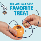 goDog Squeaks Durable Interactive Dog Toy, Looper
