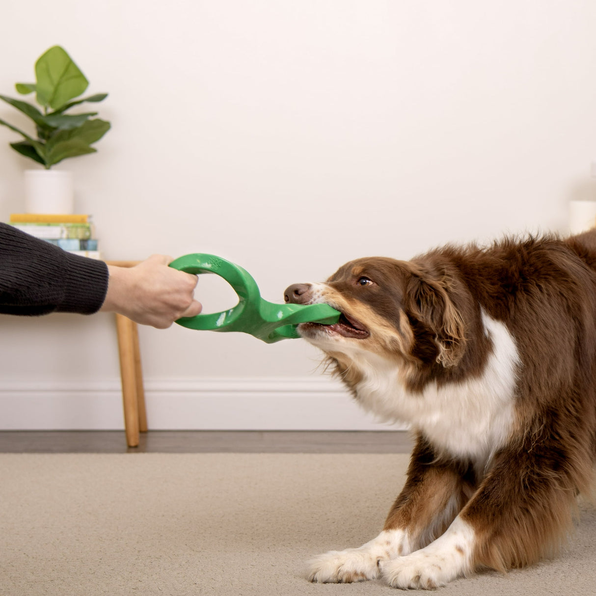 goDog Magic Motion Durable Interactive Dog Toy, Twisty Tosser