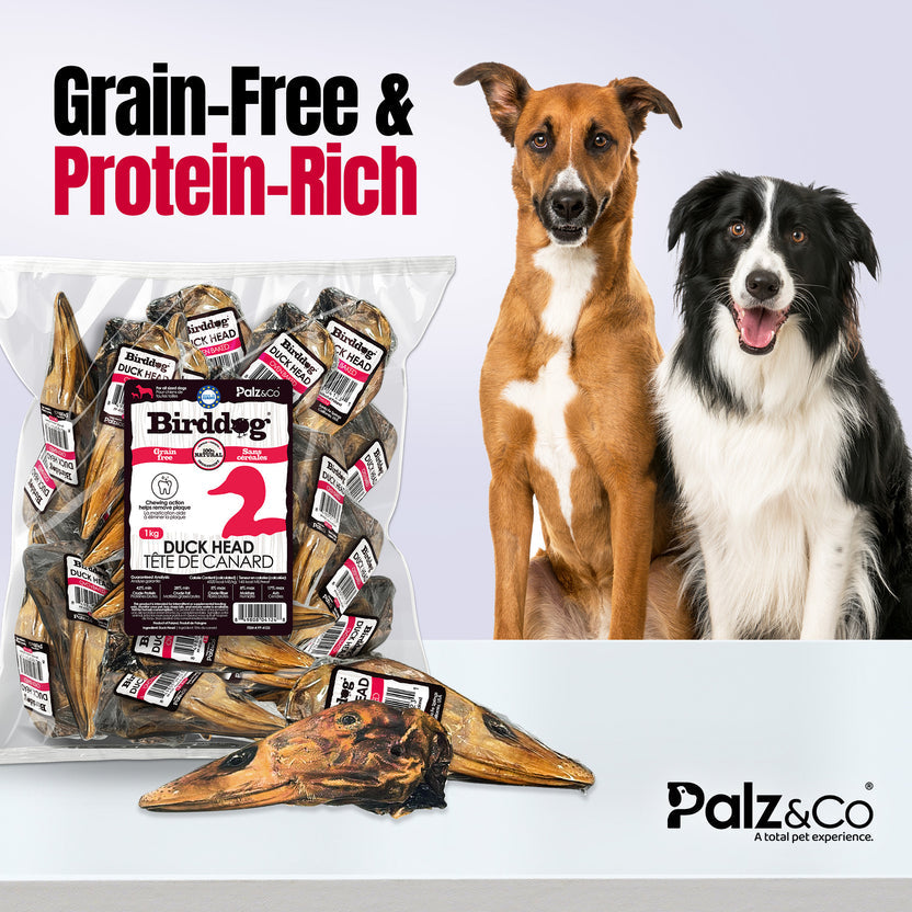 Palz&Co Birddog Duck Head Dog Treats, 20ct