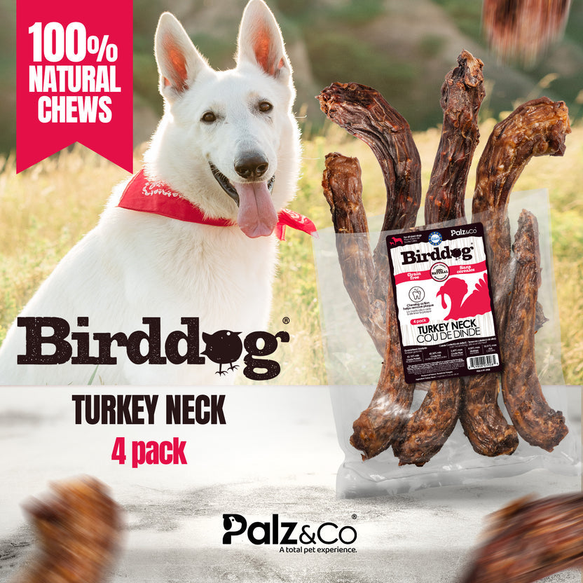 Palz&Co Birddog Turkey Neck Dog Treats, 4ct