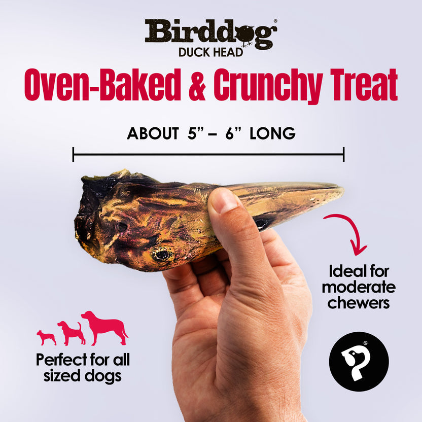 Palz&Co Birddog Duck Head Dog Treats, 20ct