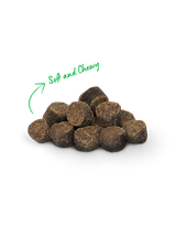 Open Farm Be Good Bites Insect & Wholesome Grains Soft & Chewy Dog Treats, 6oz