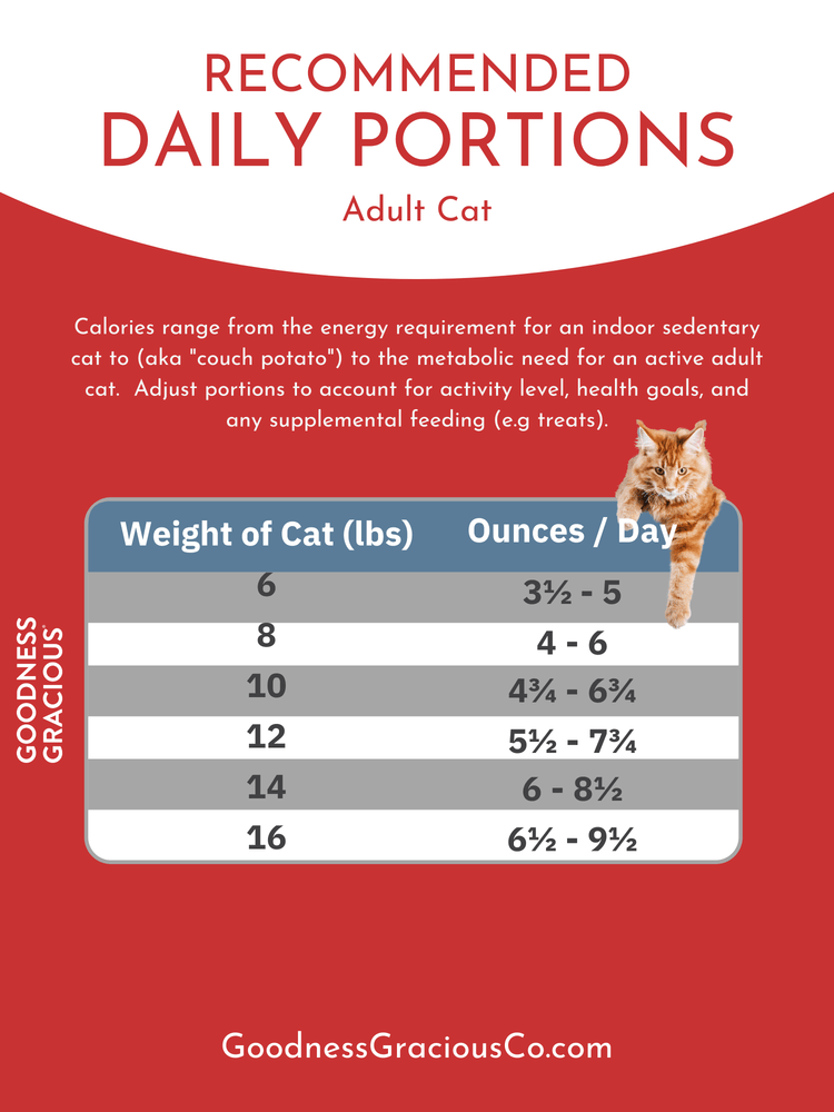 Goodness Gracious Human Grade Synthetic Free Recipe Gently Cooked Frozen Cat Food