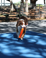N GAGE Active Bumper Reg Interactive Rubber Dog Toy, Orange