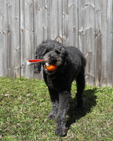 N GAGE Classic Handler Regular Interactive Rubber Dog Toy, Orange