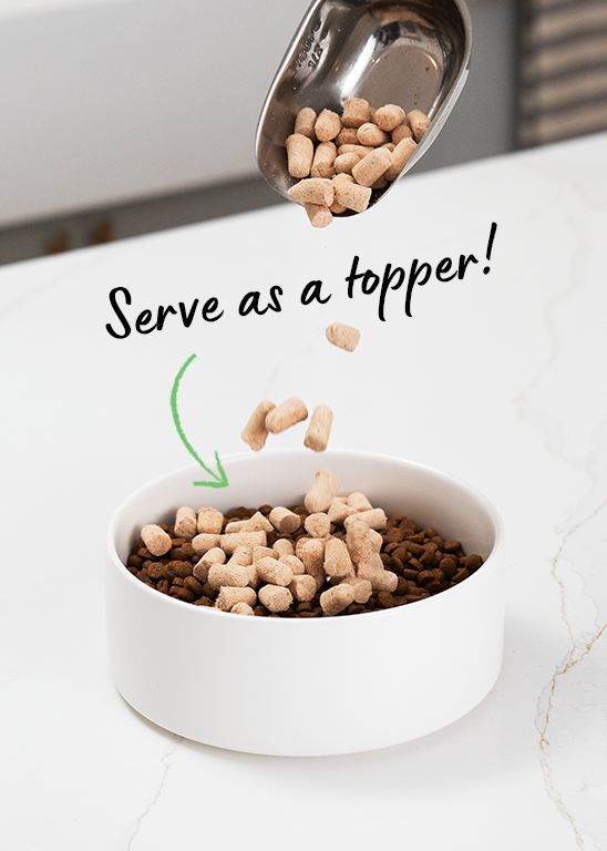 Open Farm GoodBowl Wild-Caught Salmon Recipe Freeze Dried Raw Dog Food Topper