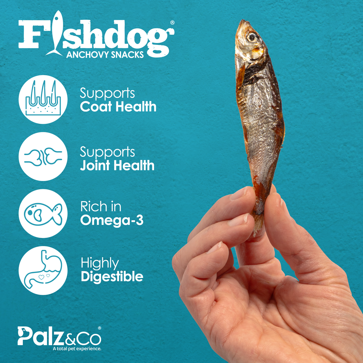 Palz&Co Fishdog Whole Anchovies Dog Treats, 2.5oz