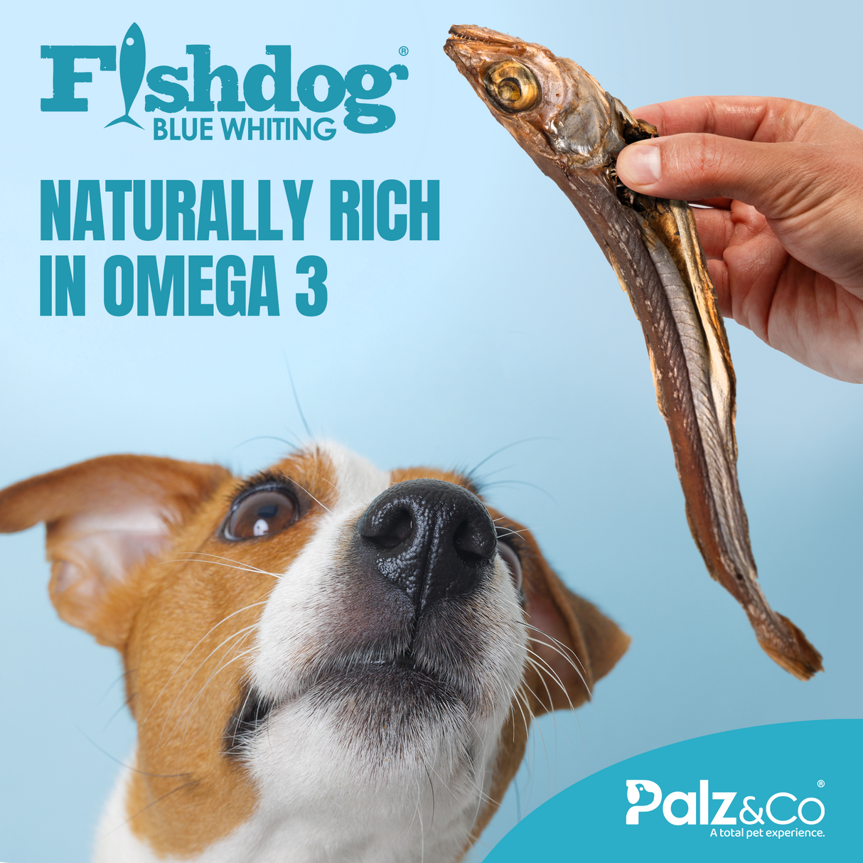 Palz&Co Fishdog Blue Whiting Dog Treats, 2.5oz