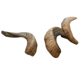 Donegal Natural Pet Treats Lamb Horn Dog Chew