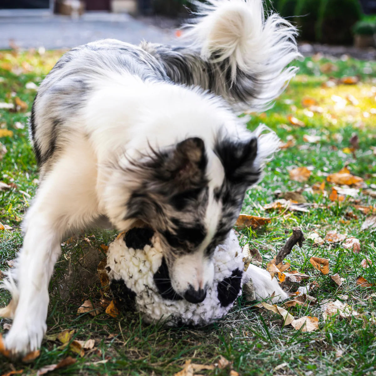 HuggleHounds HuggleFleece Soccer Ball Durable Squeaky Plush Dog Toy