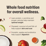 The Honest Kitchen Gourmet Whole Food Clusters Whole Grain Chicken & Superfoods Recipe Dry Dog Food