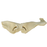 Premium Puffed Beef Snout Dog Treat