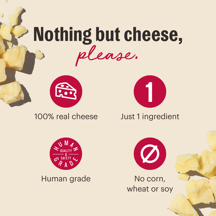 The Honest Kitchen Cheese Bites Gouda Recipe Dog Treats, 2oz