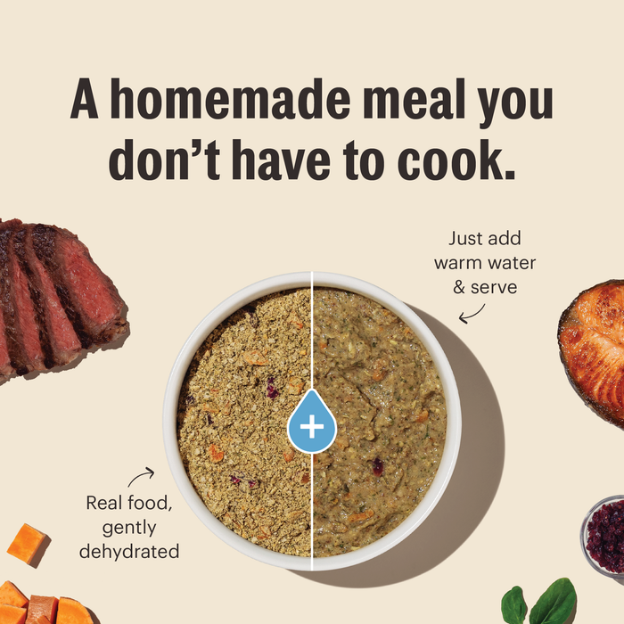The Honest Kitchen Whole Grain Chicken, Oat & Salmon Puppy Recipe Dehydrated Dog Food