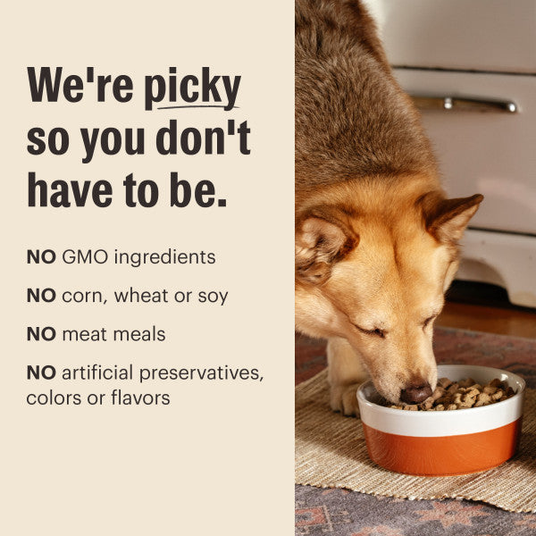 The Honest Kitchen Protein Plus Whole Food Clusters Grain Free Beef & Chicken Recipe Dry Dog Food