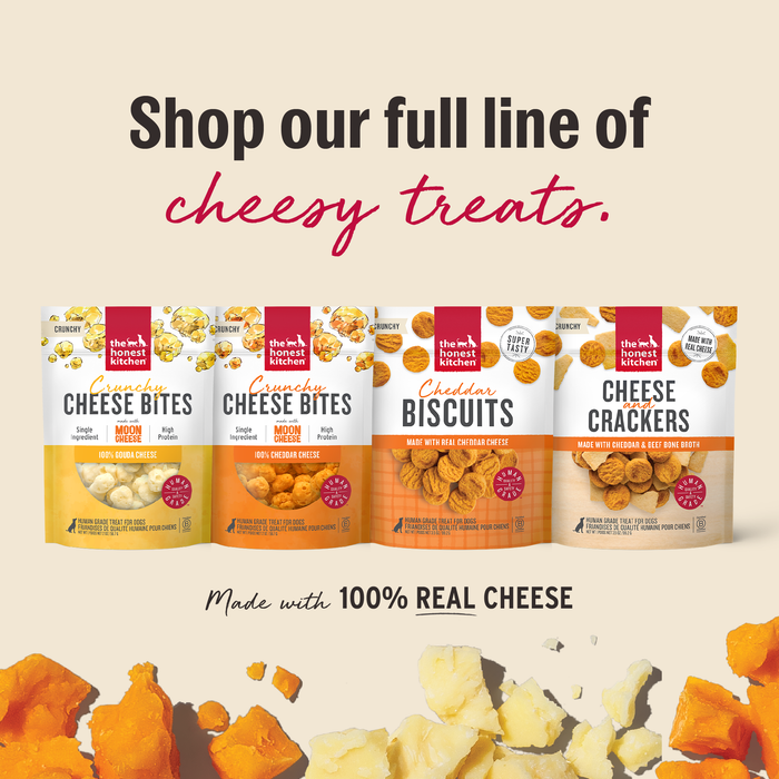 The Honest Kitchen Cheese Bites Cheddar Recipe Dog Treats, 2oz