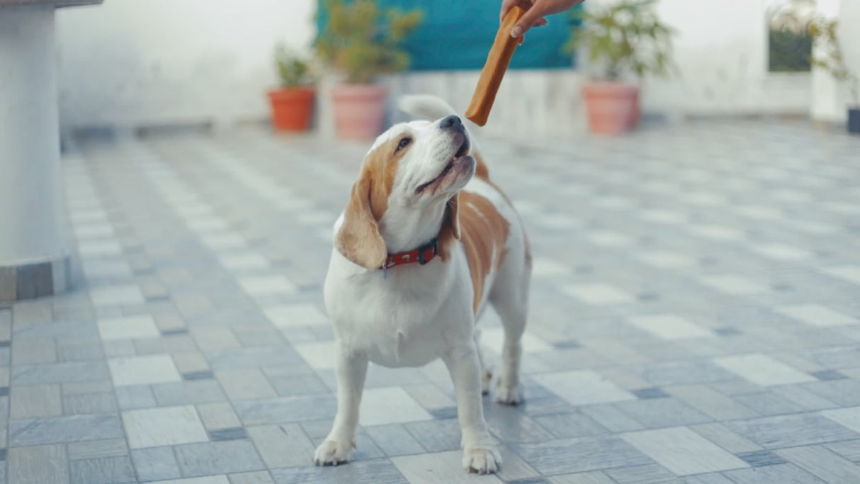 PeaksNPaws All Natural Yak Chews For Dogs