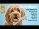 BetterBone Soft Density Beef Flavored Dental Chew Toy For Dogs